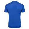 Men Polos Summer Silk Alligator Zipper Zilli Kort ärm T-shirts Black Sky Blue