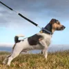 Colliers de chien Elasticité Lash Stretch Tell Reflective Nylon Pet Extension Heavy Dury Durable Walking Running Universal Corde