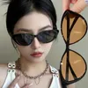 Lunettes de soleil TRENDY CAT Eye Woman Brand Designer Mirror Triangle Black Glêmes de soleil Femelle Shades For Dames Eyewear Cadeaux