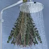 Fiori decorativi 20/10 pezzi Bundle eucalipto essiccato per doccia sospeso di lavanda bouquet naturale foglie conservate fragranza