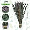 Fiori decorativi 20/10 pezzi Bundle eucalipto essiccato per doccia sospeso di lavanda bouquet naturale foglie conservate fragranza