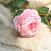 Fleurs décoratives 1pc 3 têtes Peony Fleur artificielle Fausse de bouquet Branche rose blanc pour décoration intérieure Décoration de mariage House