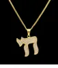 Hiphop rostfritt stål chai judiska symboler överdrivna hängsmycken halsband lyxguldpläterade kedje smycken kvinnor tillbehör 8062777