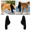 Hundebekleidung Knieklammer Riechhülle Wrap Pet Elbow Protective Pad für Hundezubehör Verlust der Stabilität durch Arthritis Verstaucherschutz