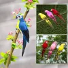 Décorations 1pc mousse faite à la main plume artificiel perroquet imitation oiseau modèle figurine mousse oiseaux perroquet décoration jardin décoration ornement