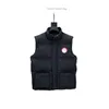 Giacca da bomber riscaldata da maschio da uomo gilet da uomo gilet designer di lavatore per corridoio weste doudoune sans manche women gilet reporter sano parco 3jd0