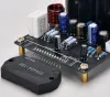 Amplificatore Brzhifi Audio Nuovo stock Film spesso ad alta potenza STK404120 Audiophile Grade Mono Power Amplificatore Board