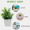 Decorative Flowers Premium Realistic Convenient Plants Pots Indoors Faux Plant Farmhouse Kitchen Decor Artifical For Home