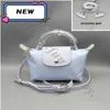 High quality Beach Bag luxurys wallets Mini Single-handle Casual Dumpling luxury crossbody Nylon Leisure Hand Purse Hualong handbag designer purse bags