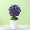 Dekorative Blumen realistische gefälschte Topfpflanzen energiegeladene, nicht verblüffende gut aussehende künstliche Mini-Bonsai-Baumtopf-Dekoration