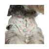 Schnauzer -Kleidung Kleid Kleid Sommer Haustierbekleidung Yorkshire Terrier Pommeranian Malteser Pudel Bichon Frise Hundekleidung Rock 240429