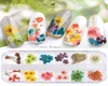 NA054 12 kleuren Gedroogde bloemen Nail Art Decorations 3D Natural Daisy Gypsophila bewaarde droge bloem Diy Nail Stickers Manicure Dec8094838
