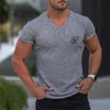 Camisetas masculinas 2023 Nova camiseta sik seda homens verão curto slve compressão camiseta malha tops t roupas de moda masculina camisetas t-shirts t240505