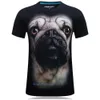 Haikyuu T -Shirt Männer Neue trendige Spielen Herren gedruckter Tier lustiges Affe T -Shirt Kurzärmel lustige Topf Bauch Design Top Shirt M XL Man Outfit