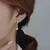 Boucles d'oreilles en peluche en gros de boucles d'oreille en forme d'oreille étoile étoile du cerceau de zircone cubique pour femmes bijoux de mariage vintage accessoire minimaliste