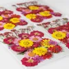 Decorative Flowers Dried UV Resin Flower Stickers Dry Beauty Decal For DIY Epoxy Filling Jewelry Decoration Craft Accessor