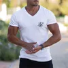 Camisetas masculinas 2023 Nova camiseta sik seda homens verão curto slve compressão camiseta malha tops t roupas de moda masculina camisetas t-shirts t240505