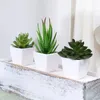 Fleurs décoratives 3 pots de plantes simulées petites plantes en pot adaptées pour placer sur des bureaux de bureau