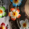 Kwiaty dekoracyjne 10pcs 5cm hawajski ślicznica pianka sztuczny kwiat DIY wieniec nakrycia dekoracji ślubnej