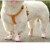 Hundekleidung Haustier-Ausgangswerkzeug zur Verhinderung von Fuß Schmutz und Katze Selbstklebende Abdeckungen liefert 6 pcs atmungsaktive elastische Bandagen