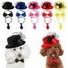 Ropa para perros lindo gorro de plumas estilo cachorro gatito de peluca peluquería de pelaje de piel para Yorkshire malatese bichon pomeranian shitzu caniche