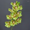 Fiori decorativi 1pc 73 cm a 8 teste a 8 teste artificiali Orchide fale orchidea fiore reale piante touch per casa festival del matrimonio domestico
