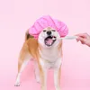 Hundkläder resor tandborstar elektriska bärbara elektriska vattentäta