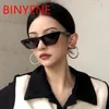 Vintage Rectangle Cat Eye Womens Sunglasses Small Frame Black Shades 2021 Trending Brand Designer Summer Travel Sun Glases UV400 260b