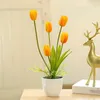 Flores decorativas 5 Cabeça Tulip Bonsai para festa de casamento em casa Windows Desktop Artificial com vaso de flores Ação de Graças