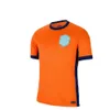 24 25 Netherlands MEMPHIS Hot selling 2024 2025 Holland Club Jersey JONG VIRGIL DUMFRIES BERGVIJN Shirt 2024 KLAASSEN BLIND DE LIGT Men Football Shirt