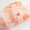 Vêtements de vêtements pour chiens Summer Cat mince Jupe Princesse légère Tulle floue bord rose robe violette PET L3635