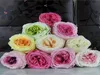 8pcs 45cm Fleur préservée Austin Rose Bud Head for Wedding Party Holiday Anniversaire Velentin039s Day Gift Favor8882759