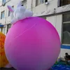 Оптовые красочные надувные надувные надувные надувные баллонные воздушные шарики для художественного животного для музыкальной рекламы украшения