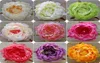 30pcs Silk Spring Peony Flower Head Dia 12cm472quot Artificial Camellia Peonia for DIY Bridal Bouquet Wrist Flower Accessorie8783603