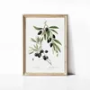 Fonds d'écran Vintage Herbal Plant Toivas Olive Affiche Poppy Camellia Lilac Art Art Picture Salon Home Decoration Garden Garden J240505