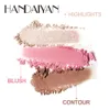 Cross Brorder New Han Daiyan Handaiyan High Gloss Powder Blusher Shadow Shombrening Brighting Facelift Plate trois en une couleur maquillage en gros en gros