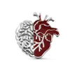 Broches broches anatomique coeur broche banc de broches métalliques badge anatomie bijoux entièrement biologie médical étudiant docteur cadeau dh8y1