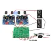 Förstärkare DLHIFI 2st Original LJM MX50 SE 2x100W KEC HIFI Audio Power Amplifier 2.0 -kanaler Amplificador DIY Kit Board