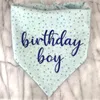 Dog Apparel Birthday Birthday Bandana Presente para Boy Mom Mã