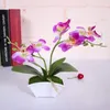 Декоративные цветы поддельные фалиенопсис цветочный цветок бонсайжи