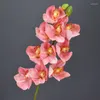 Fiori decorativi 1pc 73 cm a 8 teste a 8 teste artificiali Orchide fale orchidea fiore reale piante touch per casa festival del matrimonio domestico