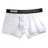 Men de coton Boxer Men de sous-vêtements Sexe Sexy Sexe for Under Wester Cotton Male Pure Bores respirant Boîtres confortables