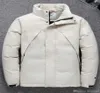 Le nouveau type de la veste de la caisse hivernale du champion 2019 L'usine vient de livrer les magasins physiques doit stocker quatre couleurs m3xl havelog6926741
