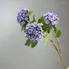 Dekorative Blumen Langer Zweig Künstliche Hortensie Seidengefälschter Café Dekor Simulation Blume weiß gelber Schneeball El Dekoration