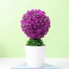 Dekorative Blumen realistische gefälschte Topfpflanzen energiegeladene, nicht verblüffende gut aussehende künstliche Mini-Bonsai-Baumtopf-Dekoration