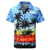 Men's Plus Tees Polos 2023 Chemise masculine Hawaii 3D Plage Impression décontractée Chemise pour hommes à manches courtes pour hommes Shirts décontractés