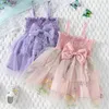 Girl's Dresses Baby Girls Tulle Dress Floral Embroidered Mesh Birthday Party Dress Sleeveless Sling Toddler Girl Casual Clothing Princess Dress