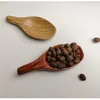 Споры Creative Small The Wooden Spoon Set - Mini в японском стиле для чайной соли и десерта