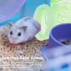 Cages Hamster Tunnel Tubes tube de cage tube de cage S et accessoires Pipeguinea Hideout Mouse SmallAdventure Playground