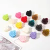 Other Fashion Women Frosted Hair Cls Crab Clamps Charm Solid Color Hair Clips Rose Blossom Lady Headdress Hair Accessories